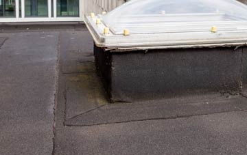disadvantages of Higher Wraxall flat roofs