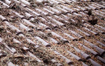 Higher Wraxall roof cleaning companies