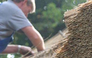 professional Higher Wraxall thatchers