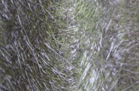 Higher Wraxall fibreglass roof work