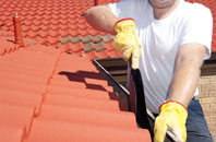 Higher Wraxall roof cleaners