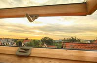 rated Higher Wraxall roof window companies